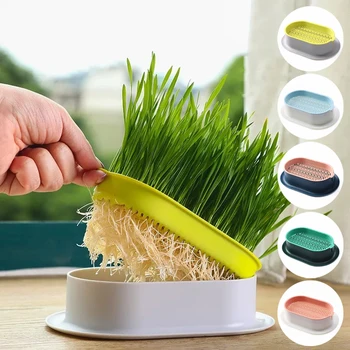5Color—Pet Cat Sprout Dish Growing Pot Hydroponic Plant Pot Cat Grass Germination Digestion Starter Dish Greenhouse Grow Box