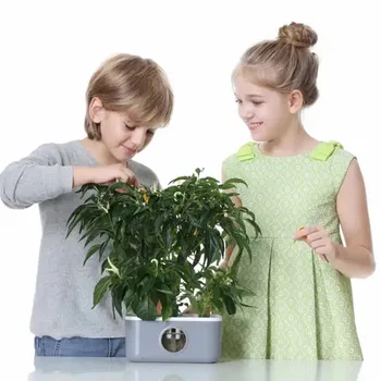 Вътрешна градина Образователни играчки Grow DIY Комплект за засаждане Детска градинска кутия Мини детска хидропоника Система за отглеждане