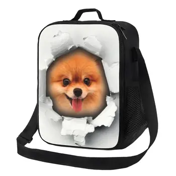 Сладко померанско куче в дупка Изолирани чанти за обяд за училищен офис Spitz кученце водоустойчив термичен охладител обяд кутия жени деца