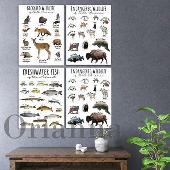 Сладководни риби от Средния Запад Печат на диаграма Застрашени диви животни от Северна Америка Плакат Образователен декор-консервация-стенно изкуство